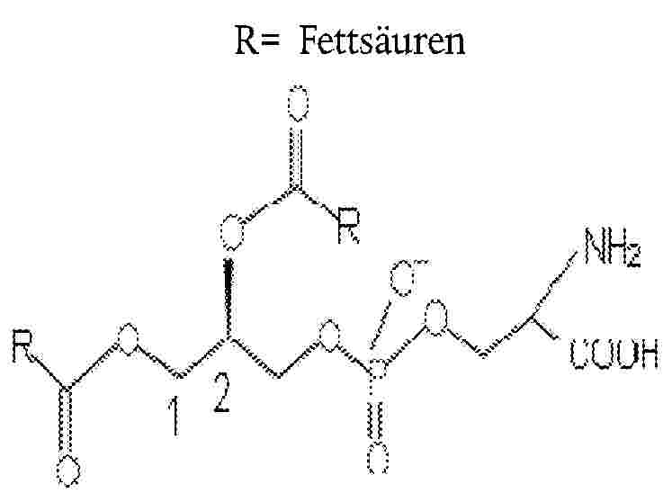 R= Fettsäuren