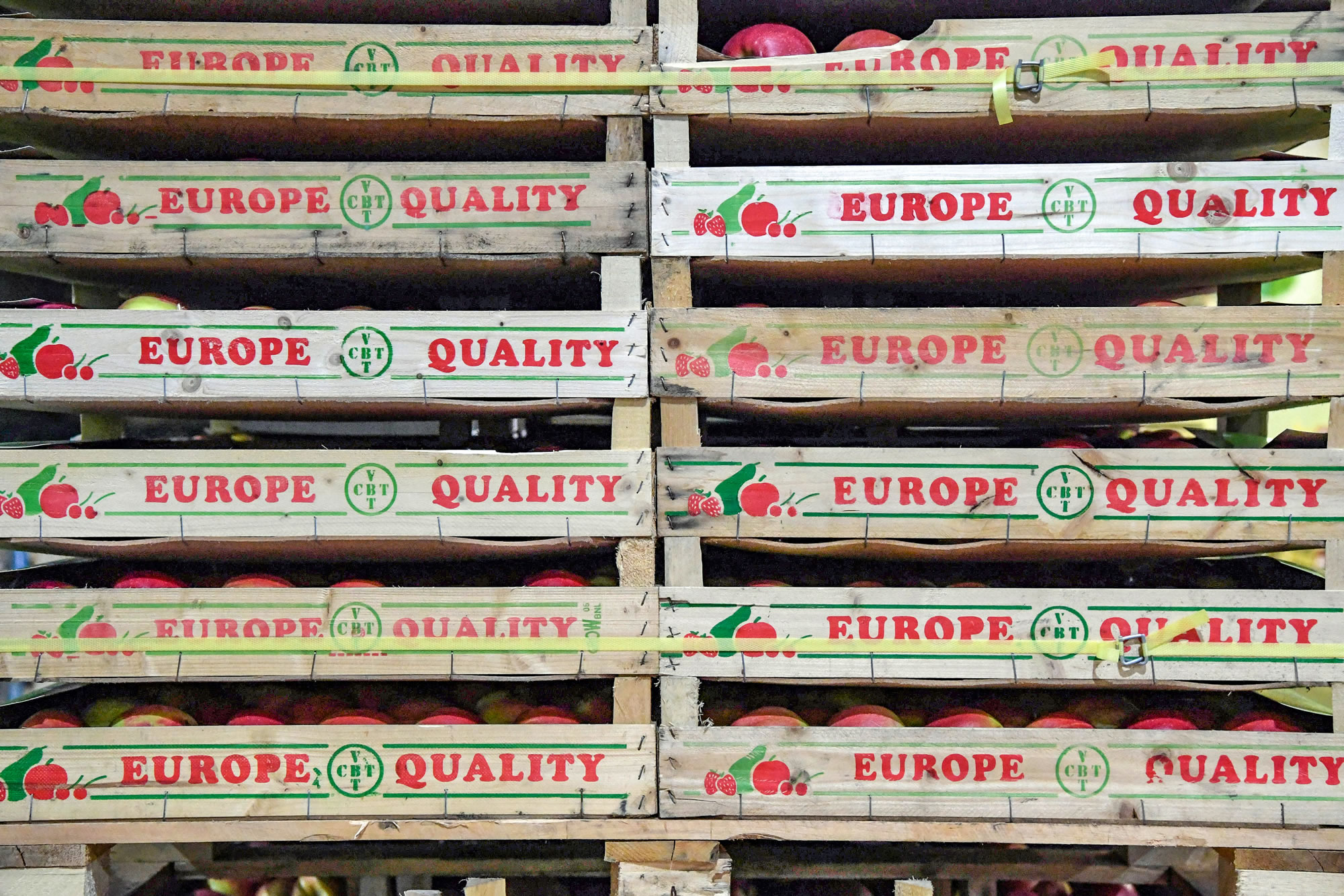 12 caixas de maçãs empilhadas, cada uma com a inscrição «Europe Quality».