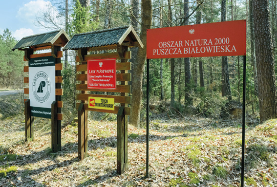 Ženklai, rodantys „Natura 2000“ teritoriją miško pakraštyje.