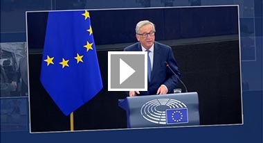 Video: ЕС през 2016 г. © European Union