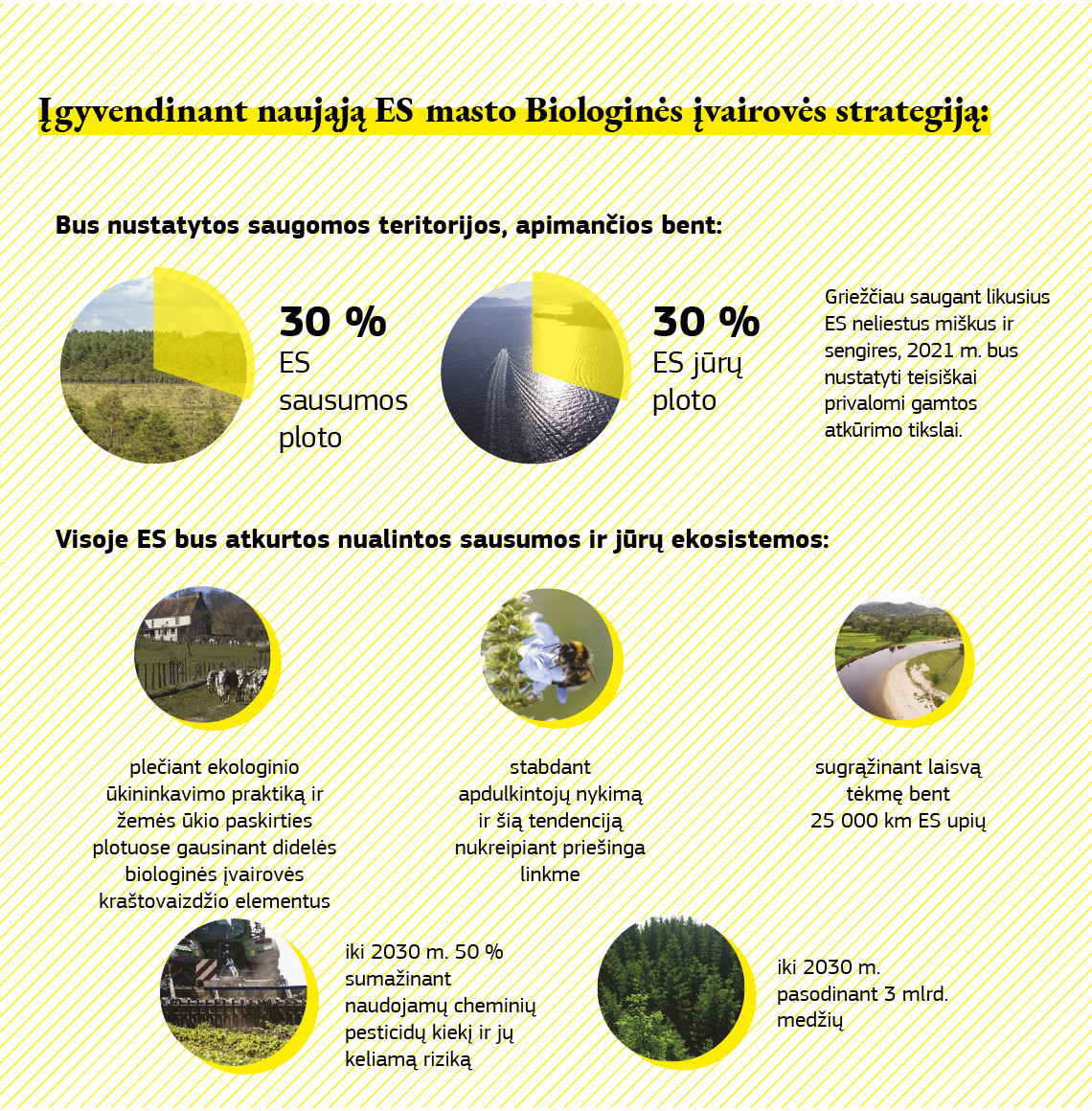 Infografikas, kuriame parodoma, ko bus pasiekta įgyvendinant Biologinės įvairovės strategiją.