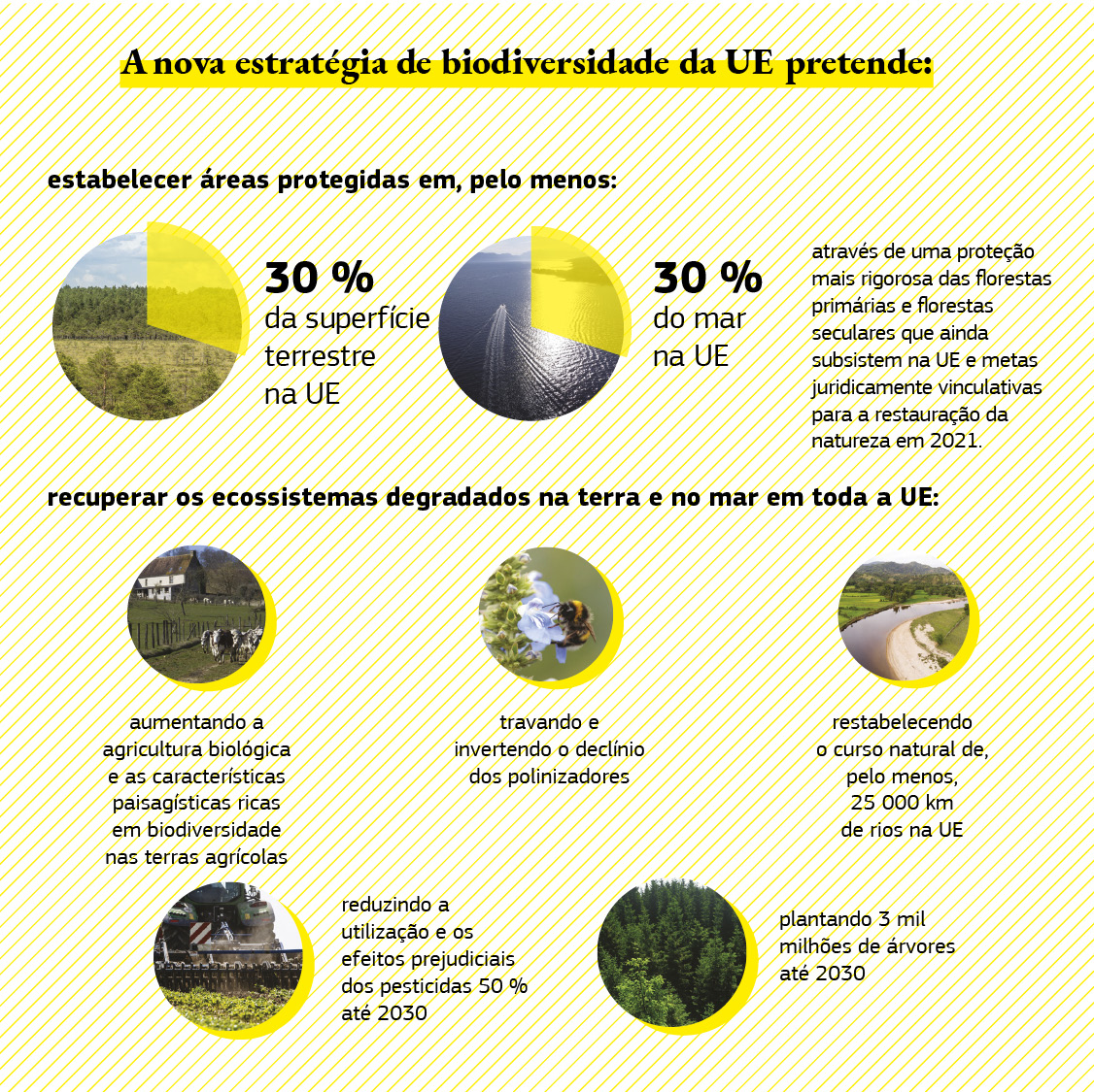 Esta infografia mostra os objetivos da estratégia de biodiversidade.