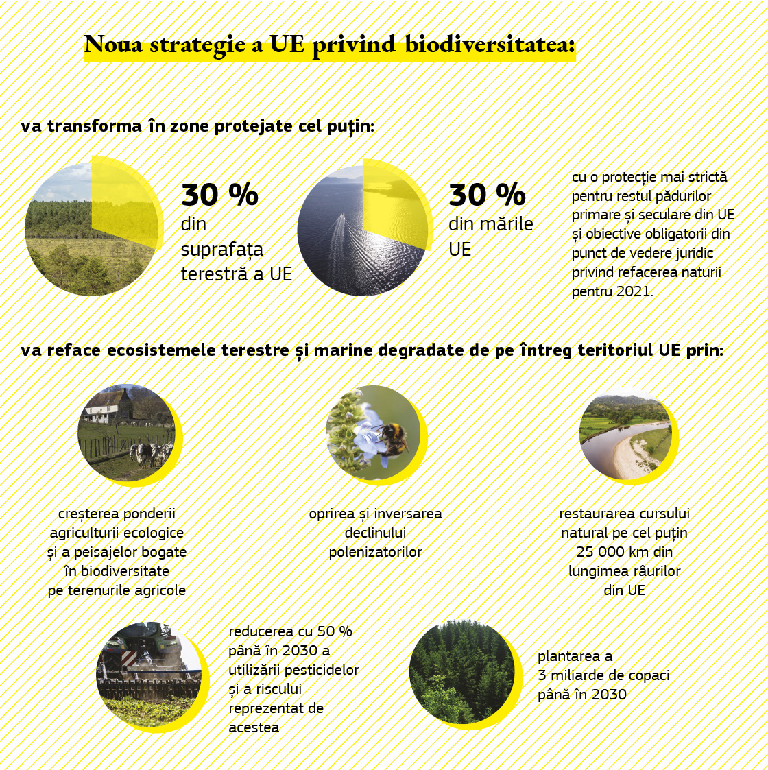 Infografic care prezintă obiectivele strategiei privind biodiversitatea.